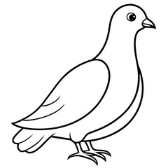 Dove of peace isolated on white background, dove vector illustration, bird on a branch vector art, dove silhouette, bird vector icon, bird on a branch line art, eps, dove on a branch cartoon