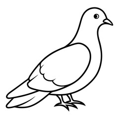 Dove of peace isolated on white background, dove vector illustration, bird on a branch vector art, dove silhouette, bird vector icon, bird on a branch line art, eps, dove on a branch cartoon
