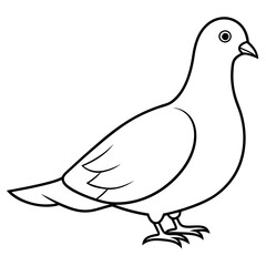 Dove of peace isolated on white background, dove vector illustration, bird on a branch vector art, dove silhouette, bird vector icon, bird on a branch line art, eps, dove on a branch cartoon