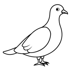 Dove of peace isolated on white background, dove vector illustration, bird on a branch vector art, dove silhouette, bird vector icon, bird on a branch line art, eps, dove on a branch cartoon