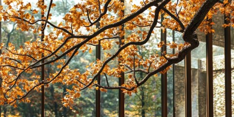 Autumn Leaves on Tree Branches Reflecting the Beauty of Seasonal Change