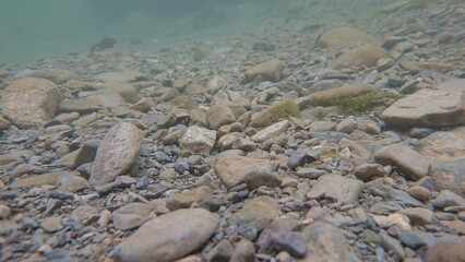 Underwater Rocky Bed in Mountains