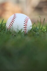 Baseball in grass
