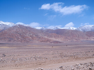 landscape in the cold desert and mountain