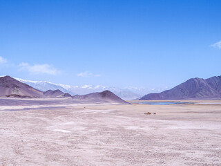 landscape with mountain and cold desert 