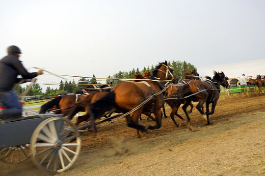 Chuck wagons racing on a sand track at a country fair