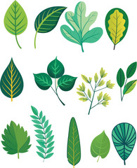 deffarent  types of watercolor leaves