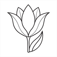 Tulip Flower Vector Art Illustration