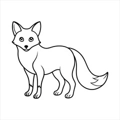 fox vector illustration