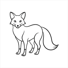 fox vector illustration