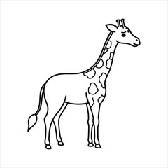 giraffe vector illustration