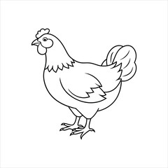 hen vector illustration