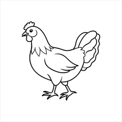 hen vector illustration