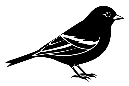 recommend clip art: Chaffinch Bird Silhouette Wildlife Vector Icon Illustration Clipart