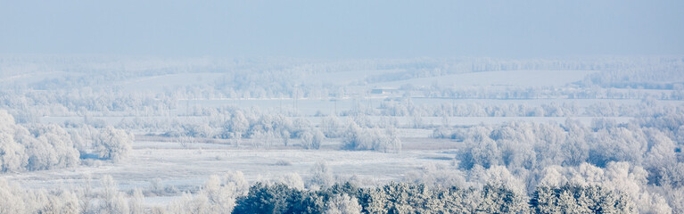 Beautiful winter landscape with snow-covered trees in frost. The evening sky in blue-pink tones. Panoramic view