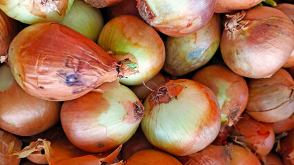 onions in a market