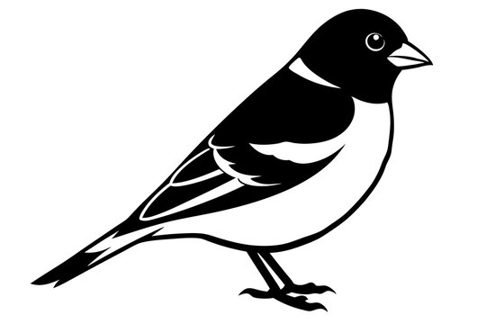 recommend clip art: Goldfinch Bird Silhouette Wildlife Vector Icon Clipart