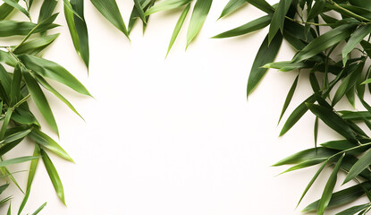 Abstract green bamboo leaves frame on white background, top view