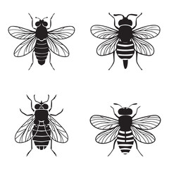 housefly silhouette set black color vector illustration