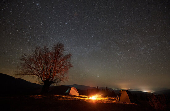 Night camping. Two tent glows softly beside campfire under star-studded sky. Silhouette of leafless tree stands against mountainous horizon, creating serene and mesmerizing night scene in nature. - Powered by Adobe