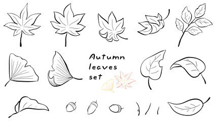 Autumn leaves, maple and ginkgo, simple hand drawn line drawing illustration set / 秋の葉っぱ、モミジやイチョウ、シンプルな手描きの線画イラストセット