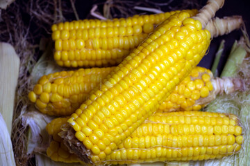 Raw steamed maize image with selected focus.