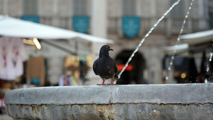 ITALY through my camera and lens