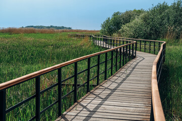 Obraz premium Eco path wooden walkway in Lukomorie, ecological trail path - route walkways laid in the forest, in St. Petersburg, Russia. 