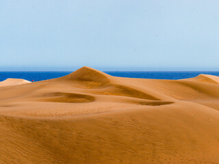 desert dune sahara sand gran canaria