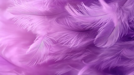 Purple color close up feather background. AI generation.