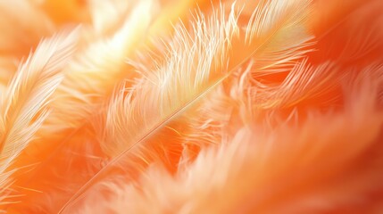 Orange closes the feather background. The generation of AI.