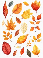 Obraz premium Collection of Watercolor Autumn Leaves