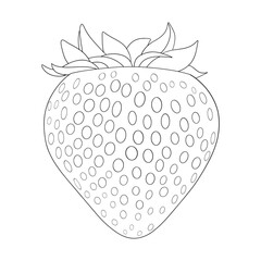 Strawberry fruit realistic outline for coloring on a white background