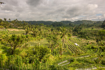 The Güne side of Bali, Güne rice terraces in the original Bali. Rice cultivation surrounded by tropical nature. Landscape shot in Siedemen, Karangasem, Bali, Indonesia