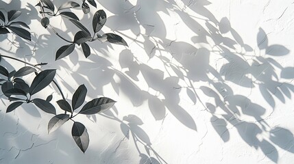 Creating soft and intricate leaf shadows on a white background, emphasizing the use of light and shadow to evoke a serene and natural atmosphere, blending simplicity and complexity through the pattern
