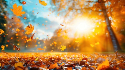 Naklejka premium Autumn Leaves Falling in Sunlight
