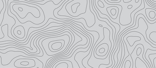 Gray luxury topographic lines map background .modern technology wave curve line contour map design .seamless geography grid vector illustration .