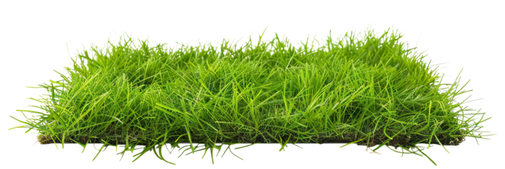 Patch of fresh green lawn grass, cut out