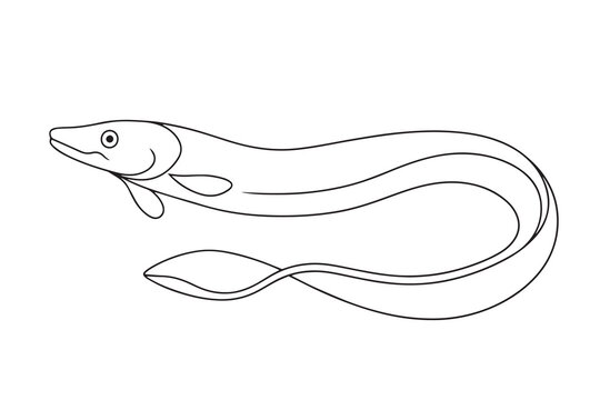 recommend clip art: Eel Continuous line art vector illustration on white background.