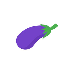 eggplant vector illustration