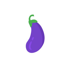 eggplant vector illustration