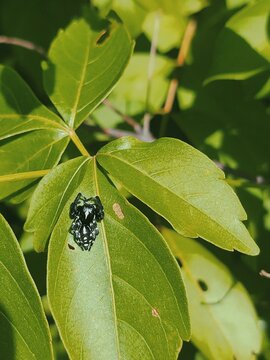 Processed with VSCO with p5 preset