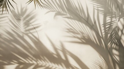 Simple wall background with palm leaf shadows