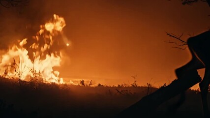 terrified deer fleeing from intense forest fire at night dramatic