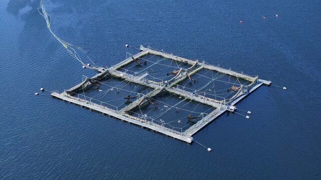 Aquaculture Intensive Fish Farm Aerial View