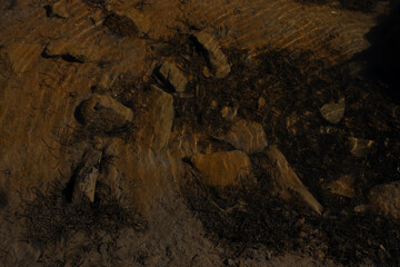 Brown close-up graphic resources backgrounds