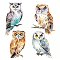 watercolor painting of owl four collection isolated