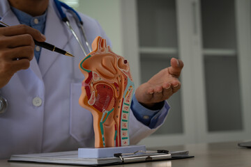 A male doctor sits at the table, explaining the respiratory and digestive systems, highlighting the...