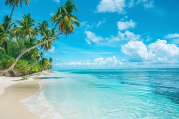 Crystal Clear Tropical Waters