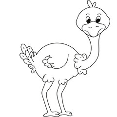 	ostrich